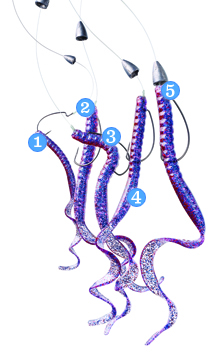 How to Tie a Texas Rig – Texas Monthly