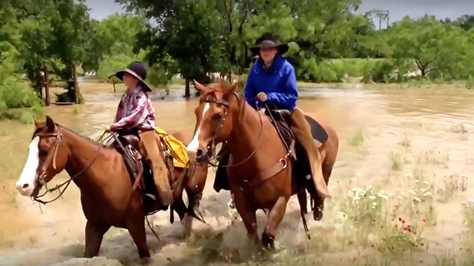 Cowboy Family Rescues Horses in Raging Flood, Proves Cowboys Still ...