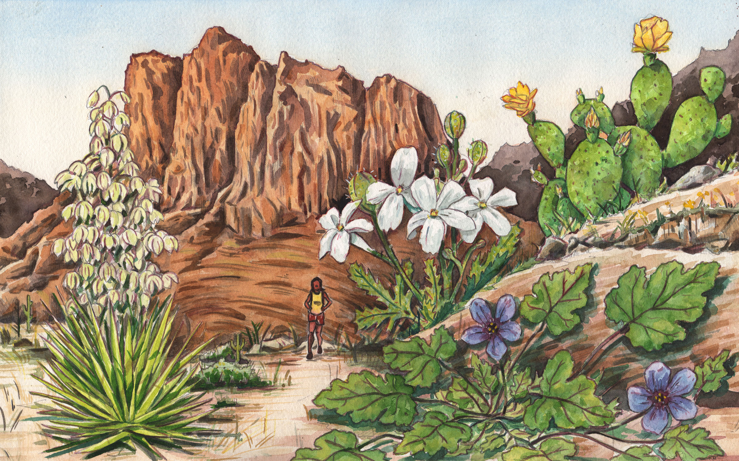 The Wild Joy of Foraging My Own Food – Texas Monthly