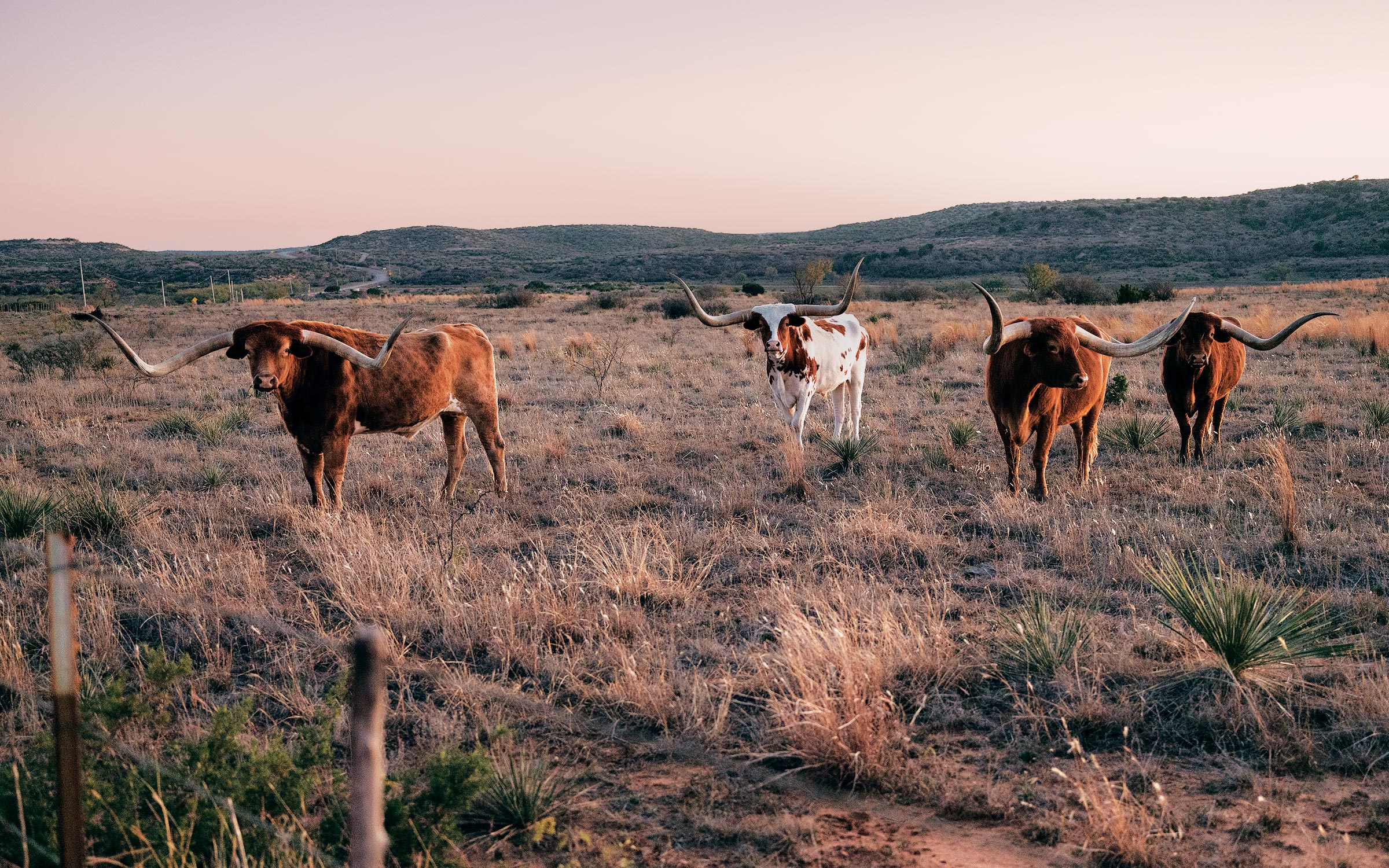 Big Texas Ranches Are Still Selling for Big Texas Bucks