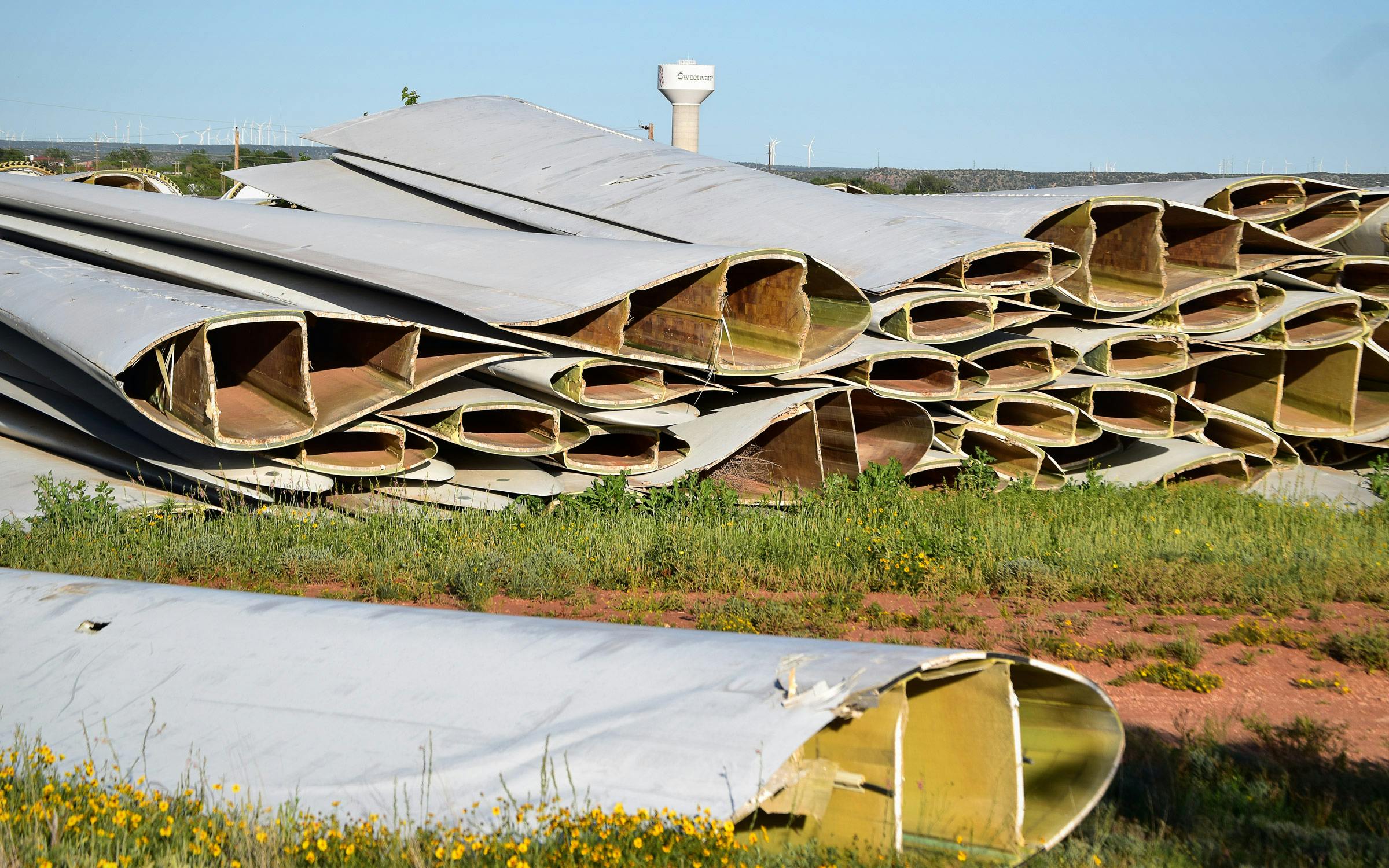 www.texasmonthly.com